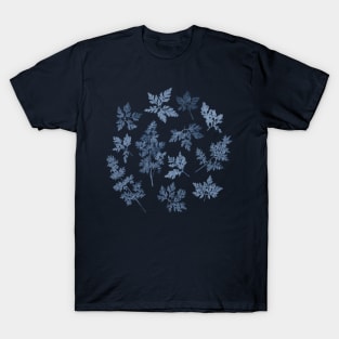 Herbal Blue Cynotype 01 T-Shirt